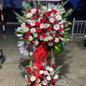 hoa tươi sông mây, trảng bom - hoa khai trương
