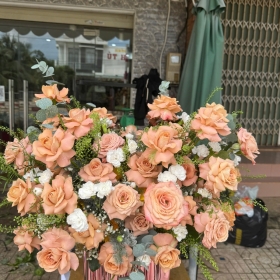 Hoa tươi giá rẻ Trị An