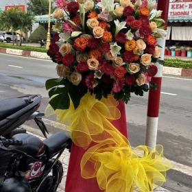 Hoa khai giảng Trị An