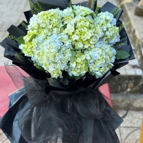 Hoa bó cẩm tú cầu xanh