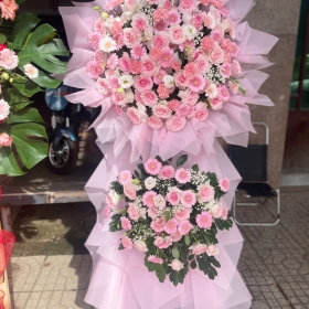 Hoa chúc mừng - 003