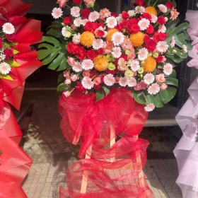 Hoa chúc mừng - 005