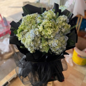 Bó hoa cẩm tú cầu xanh - số 2