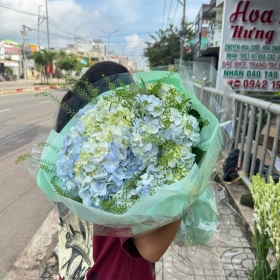 Bó hoa cẩm tú cầu - số 2