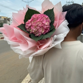 Bó hoa cẩm tú cầu - số 1