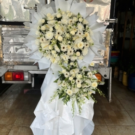 Hoa tang Vĩnh Cửu