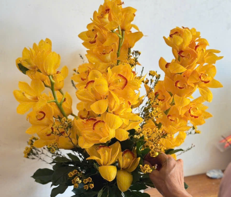 Hoa lan chưng tết đẹp