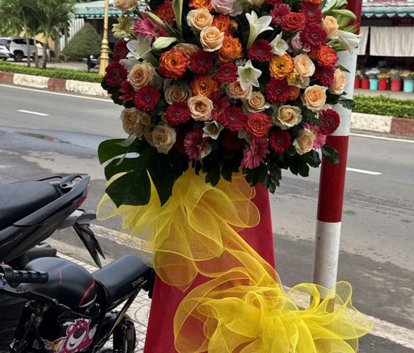 Hoa khai giảng Trị An