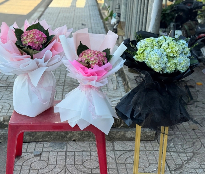 Hoa bó cẩm tú cầu xanh