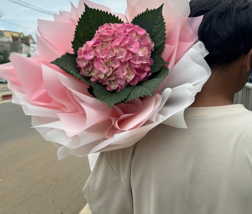 Bó hoa cẩm tú cầu - số 1